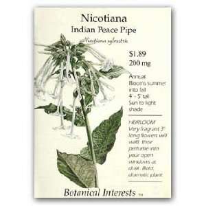  Nicotiana Indian Peace Pipe Seed Patio, Lawn & Garden
