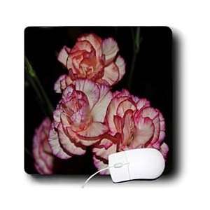   Autumn Photos   Looks like small carnations   Mouse Pads Electronics