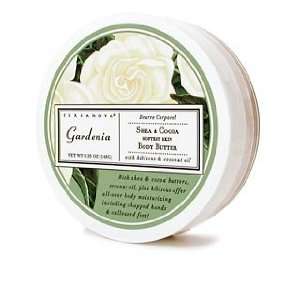 Terra Nova Gardenia Shea & Cocoa Body Butter   5.25 oz.