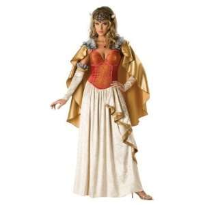  Costumes For All Occasions Ic1059Lg Viking Princess Large 