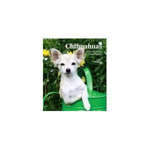   Chihuahuas 2010 Hardcover Weekly Engagement Calendar
